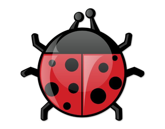 Ladybug image